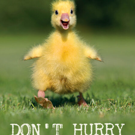 TL57 - dont hurry be happy