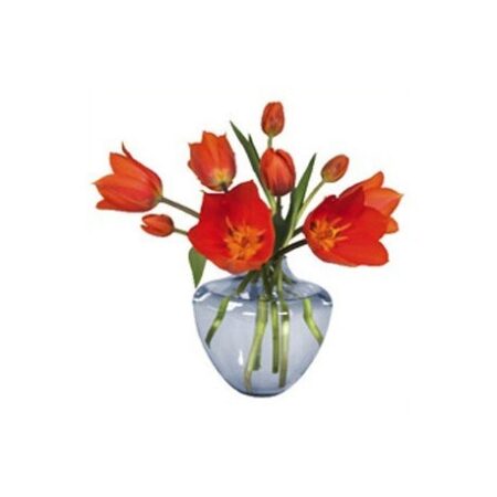 flat flower, kaart, oranje tulpen