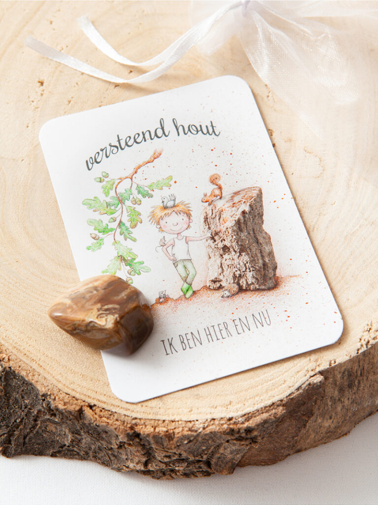 edelsteen, versteend hout, mooqi