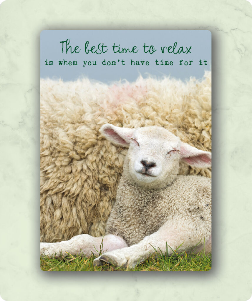 zintenz, time to relax, tl178