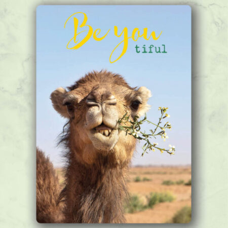 be-you-tiful, zintenz, TL165