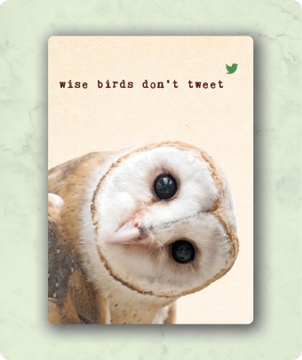 TL157, Zintenz, organic, postkaart, wise birds don't tweet
