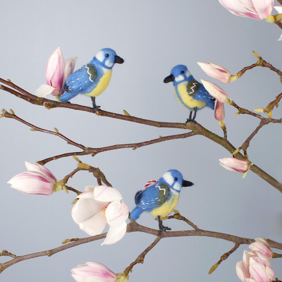 pimpelmeesje, vilten vogel, tuinvogel, Sjaal met Verhaal, Nepal