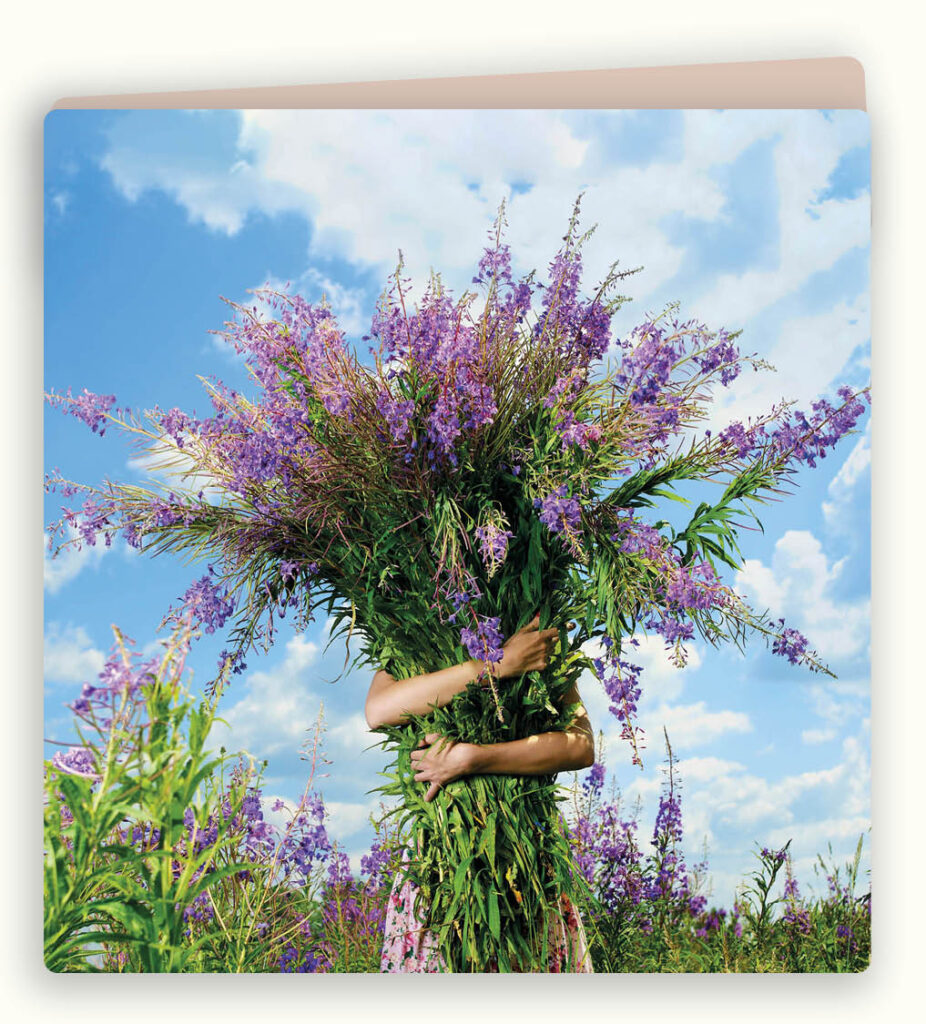 paarse bloemen DK30