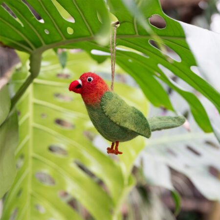 dwergpapegaai, sjaal met verhaal, vilten vogel, Nepal