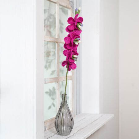 Tak Ridderspoor Fuchsia